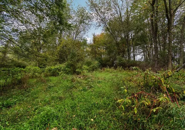 Homes for sale in Fowlerville, MI | Lot 32&37 N Ann St, Fowlerville, MI 48836 | MLS# 70504391
