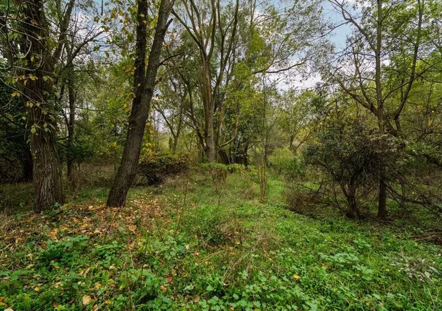 Homes for sale in Fowlerville, MI | Lot 32&37 N Ann St, Fowlerville, MI 48836 | MLS# 70504391