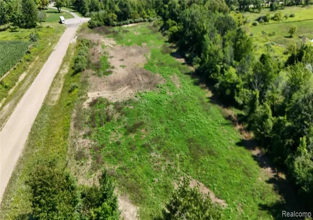 4th image of Parcel 2 Sycamore St, Dryden, MI 48428 | MLS# 61007262