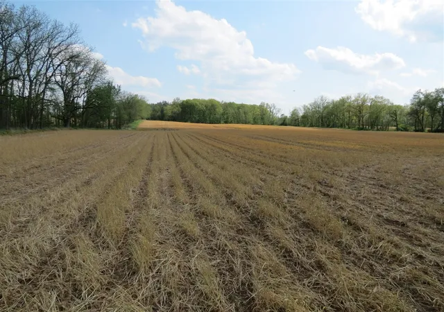 13th image of Giles Rd, Brooklyn, MI 49230 | MLS# 70536111