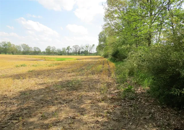 Photo 3 of Land for sale at Giles Rd, Brooklyn, MI 49230 | MLS# 70536111 | Listing updated on 2026-08-18