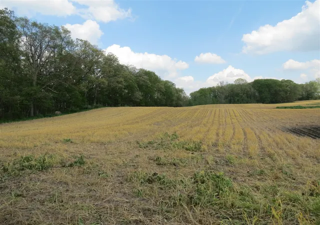 Photo 4 of Land for sale at Giles Rd, Brooklyn, MI 49230 | MLS# 70536111 | Listing updated on 2026-08-18