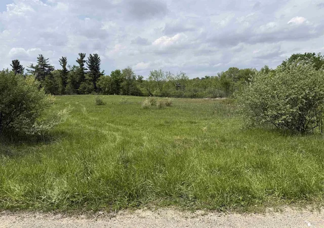 1st image of 1 Clark & Burt Rd, Frontier, MI 49239 | MLS# 50208205