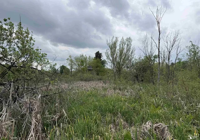 2nd image of 1 Clark & Burt Rd, Frontier, MI 49239 | MLS# 50208205