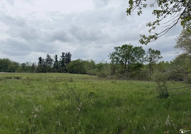 3rd image of 1 Clark & Burt Rd, Frontier, MI 49239 | MLS# 50208205
