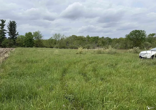 5th image of 1 Clark & Burt Rd, Frontier, MI 49239 | MLS# 50208205