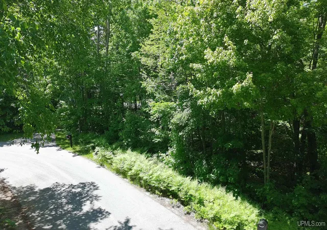 Homes for sale in Manistique, MI | Tbd Hillcrest Dr, Manistique, MI 49854 | MLS# 50212209