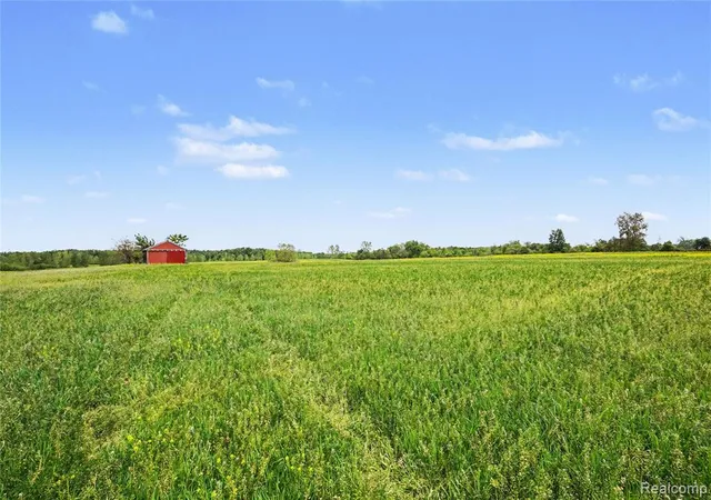 5th image of 6018 Lahring Rd, Linden, MI 48451 | MLS# 60995538