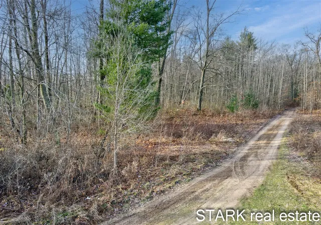 Photo 3 of Land for sale at 0 Austin Rd, Twin Lake, MI 49457 | MLS# 70524909 | Listing updated on 2026-08-10