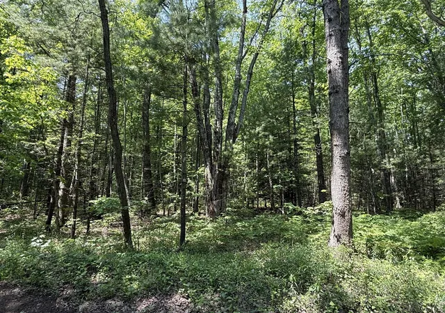 Photo 4 of Land for sale at 0 Austin Rd, Twin Lake, MI 49457 | MLS# 70524909 | Listing updated on 2026-10-02