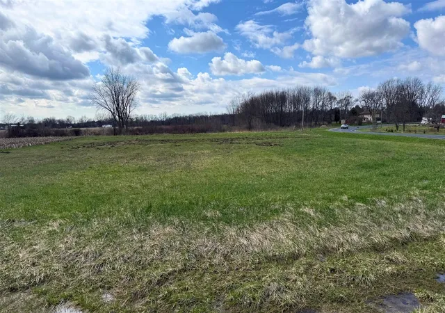 Homes for sale in Paw Paw, MI | Vl County Road 665, Paw Paw, MI 49079 | MLS# 70523865