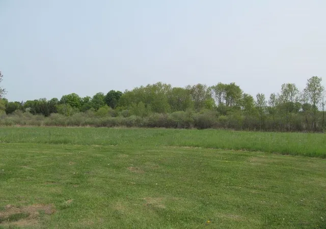 Homes for sale in Mc Bain, MI | 18 Lots Hemlock, Mc Bain, MI 49657 | MLS# 80006799