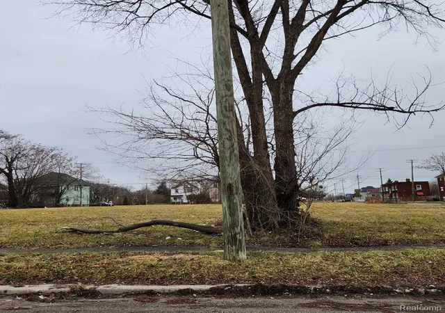 Photo 3 of Land for sale at 1830 W Grand Blvd, Detroit, MI 48208 | MLS# 60286153 | Listing updated on 2026-02-04