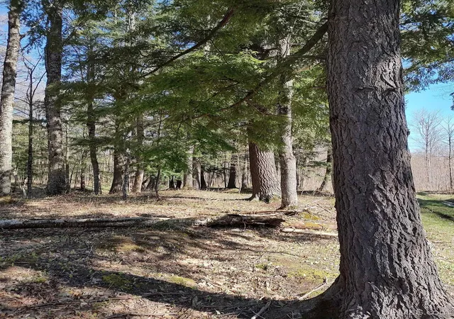 Homes for sale in Greenland, MI | Tbd N Firesteel Rd, Greenland, MI 49929 | MLS# 50141767