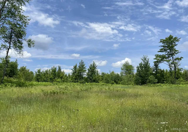1st image of Tbd Wells Grade Rd, Sagola, MI 49881 | MLS# 50213750