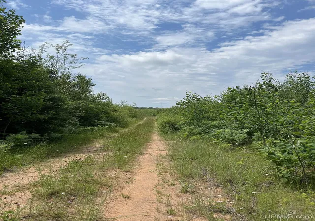3rd image of Tbd Wells Grade Rd, Sagola, MI 49881 | MLS# 50213750