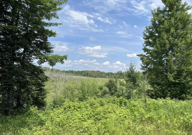 4th image of Tbd Wells Grade Rd, Sagola, MI 49881 | MLS# 50213750