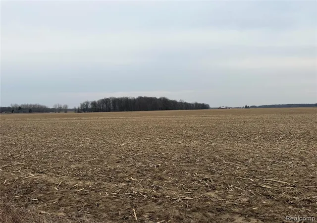 Photo 1 of Land for sale at V/l Ringle, Caro, MI 48723 | MLS# 60980403 | Listing updated on 2026-07-07
