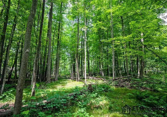 5th image of 8371 14 Mile Rd, Cedar Springs, MI 49319 | MLS# 70537945