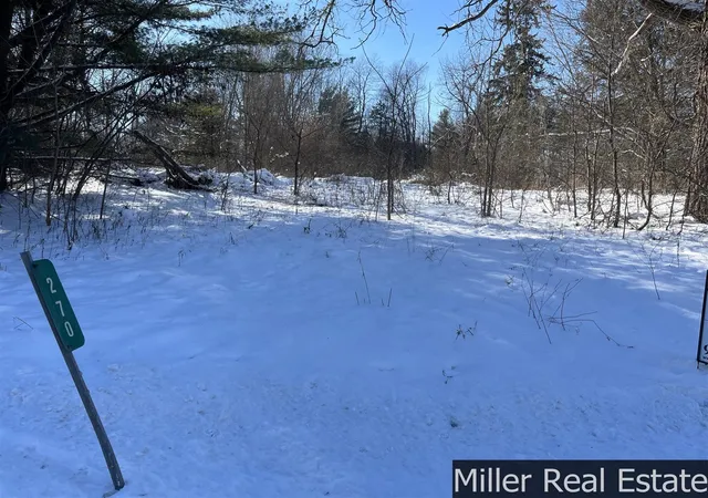 Photo 3 of Land for sale at 270 S M 37 Hwy, Hastings, MI 49058 | MLS# 70512316 | Listing updated on 2026-06-17