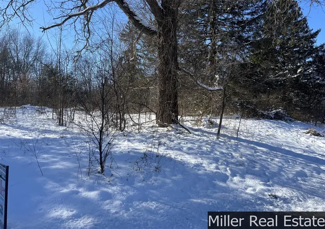Photo 3 of Land for sale at 270 S M 37 Hwy, Hastings, MI 49058 | MLS# 70512316 | Listing updated on 2026-06-17