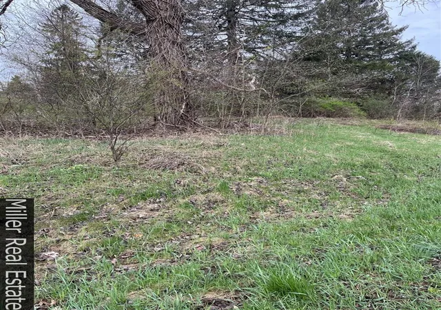 Photo 4 of Land for sale at 270 S M 37 Hwy, Hastings, MI 49058 | MLS# 70512316 | Listing updated on 2026-06-17