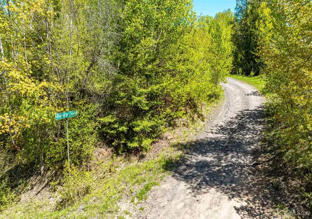 Photo 3 of Land for sale at Tbd Unit 1 1st St, Atlantic Mine, MI 49905 | MLS# 50210888 | Listing updated on 2026-06-10