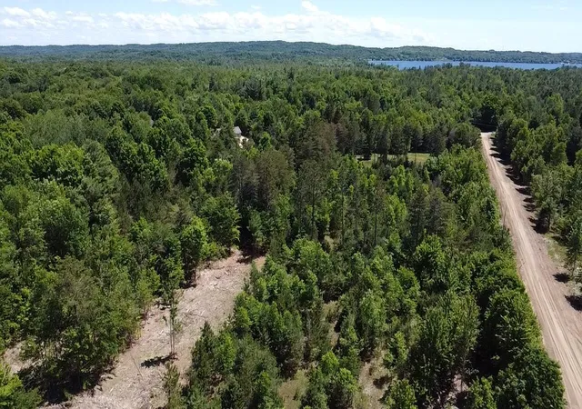 Photo 2 of Land for sale at 567 Acres Norconk Rd, Bear Lake, MI 49614 | MLS# 70541730 | Listing updated on 2026-08-29