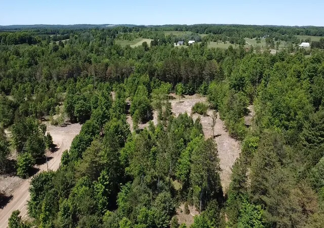Photo 3 of Land for sale at 567 Acres Norconk Rd, Bear Lake, MI 49614 | MLS# 70541730 | Listing updated on 2026-08-29