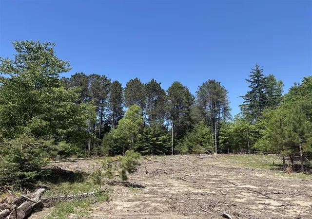 Photo 3 of Land for sale at 567 Acres Norconk Rd, Bear Lake, MI 49614 | MLS# 70541730 | Listing updated on 2026-08-29