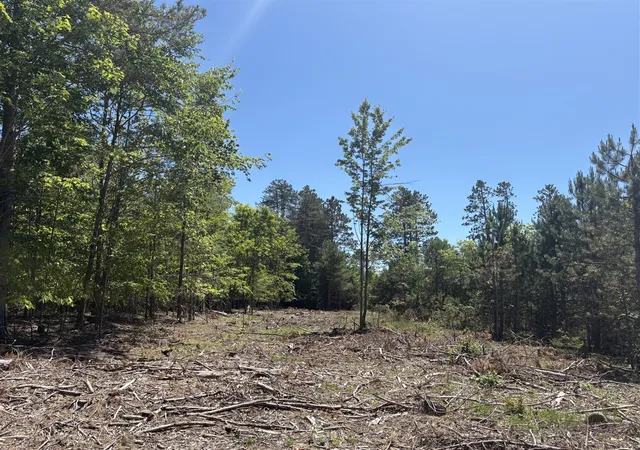 Photo 4 of Land for sale at 567 Acres Norconk Rd, Bear Lake, MI 49614 | MLS# 70541730 | Listing updated on 2026-08-29