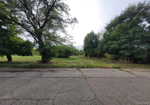 Photo 1 of Land for sale at 6935 E Congress St, Detroit, MI 48207 | MLS# 60345554 | Listing updated on 2026-07-27