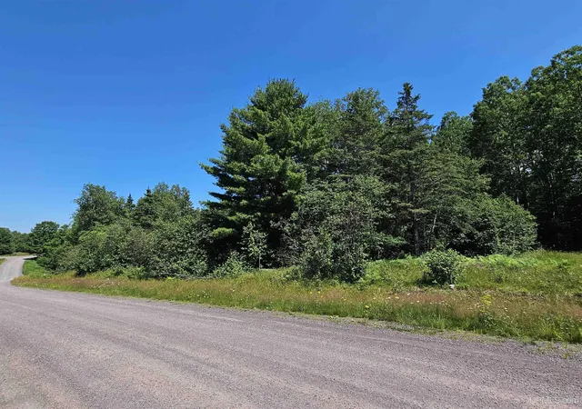 2nd image of Tbd Parcel M24 River Trails Rd, Houghton, MI 49931 | MLS# 50214732
