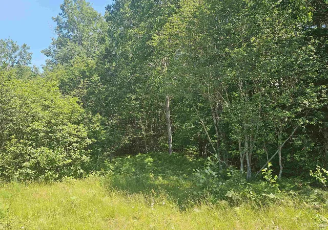 3rd image of Tbd Parcel M24 River Trails Rd, Houghton, MI 49931 | MLS# 50214732