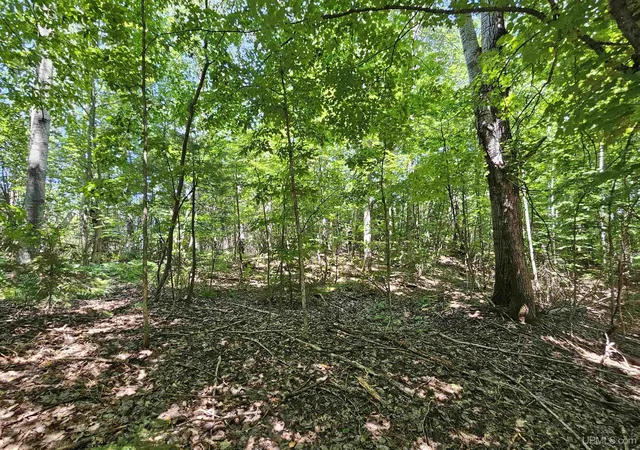 4th image of Tbd Parcel M24 River Trails Rd, Houghton, MI 49931 | MLS# 50214732