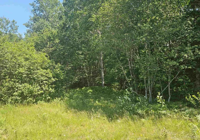 9th image of Tbd Parcel M24 River Trails Rd, Houghton, MI 49931 | MLS# 50214732