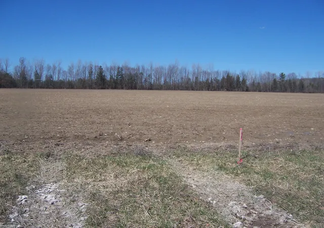 Homes for sale in Avoca, MI | Lot 4 Beard Rd Rd, Avoca, MI 48006 | MLS# 50203853