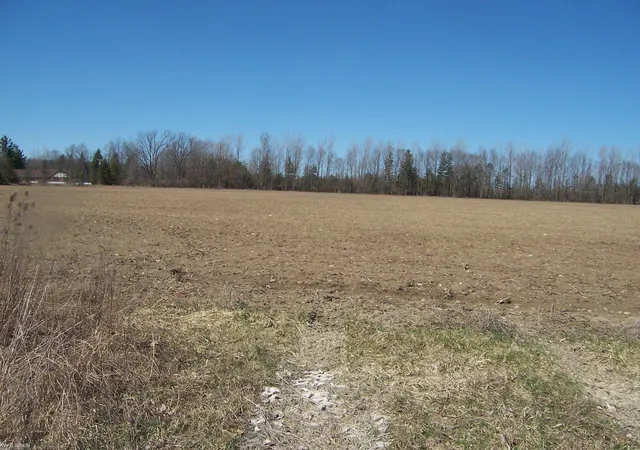 Homes for sale in Avoca, MI | Lot 4 Beard Rd Rd, Avoca, MI 48006 | MLS# 50203853