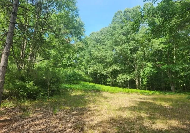 Photo 1 of Land for sale at 7373 S Riverbend Rd, Branch, MI 49402 | MLS# 70485905 | Listing updated on 2025-08-06