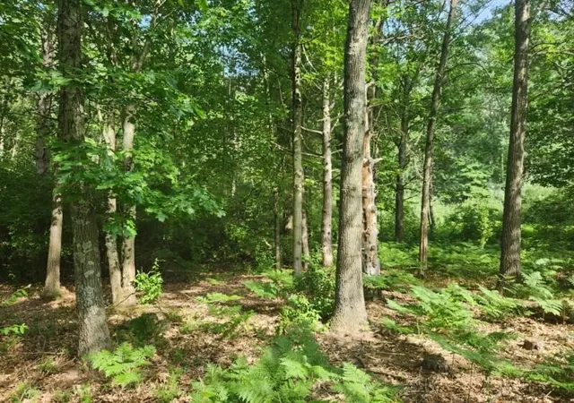 Photo 2 of Land for sale at 7373 S Riverbend Rd, Branch, MI 49402 | MLS# 70485905 | Listing updated on 2025-08-06