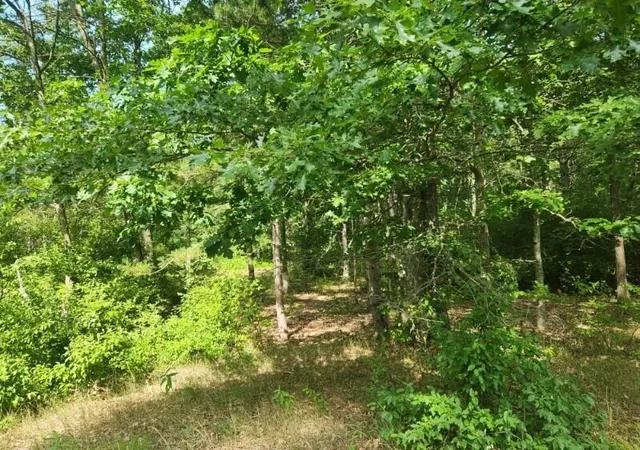 Photo 3 of Land for sale at 7373 S Riverbend Rd, Branch, MI 49402 | MLS# 70485905 | Listing updated on 2025-08-06