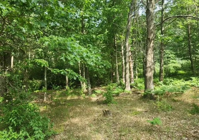 Photo 3 of Land for sale at 7373 S Riverbend Rd, Branch, MI 49402 | MLS# 70485905 | Listing updated on 2025-08-06