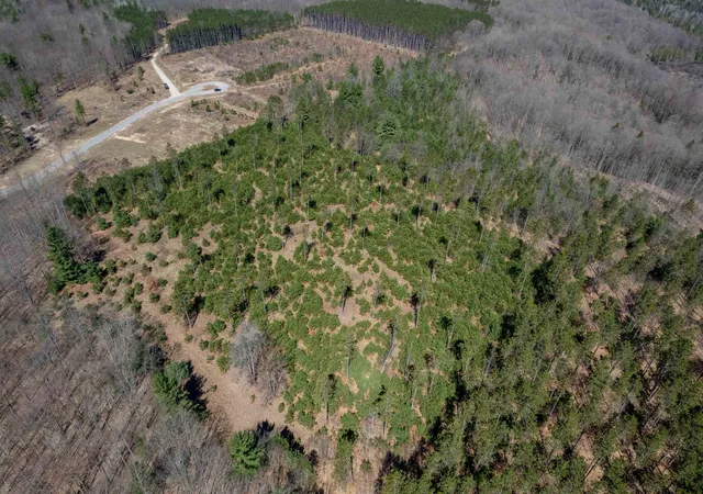 3rd image of Hoosier Valley Rd, Traverse City, MI 49685 | MLS# 80067515