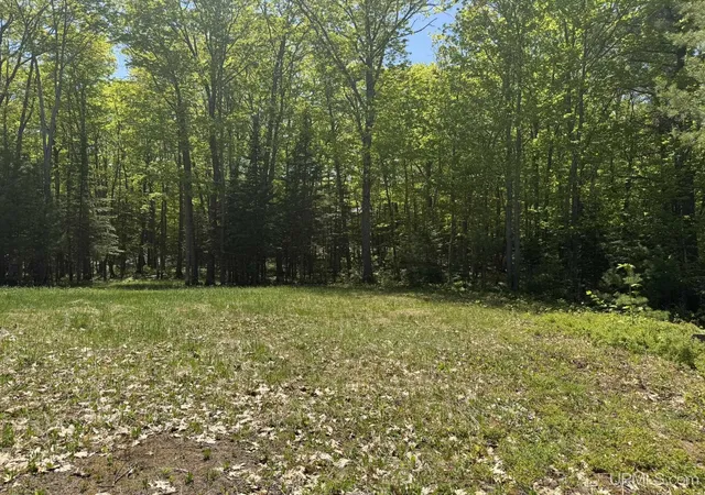 Homes for sale in Negaunee, MI | 116 Hardwood Ln, Negaunee, MI 49866 | MLS# 50210762