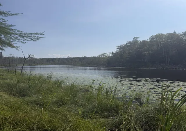 Photo 3 of Land for sale at 0 Lore Rd, Central Lake, MI 49622 | MLS# 80071858 | Listing updated on 2026-08-08