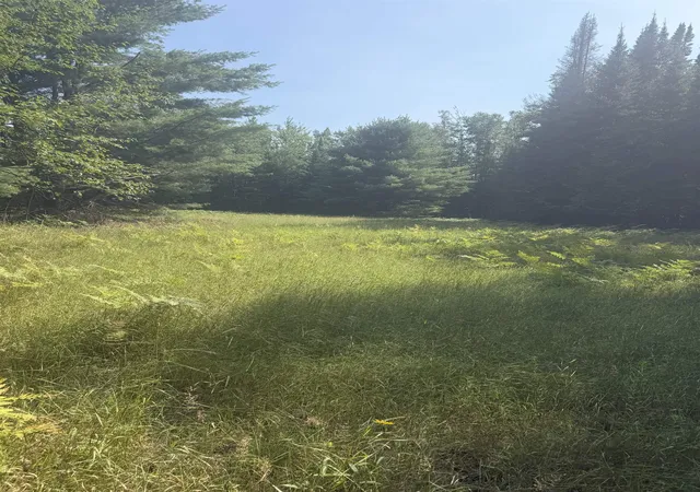 Photo 3 of Land for sale at 0 Lore Rd, Central Lake, MI 49622 | MLS# 80071858 | Listing updated on 2026-08-08