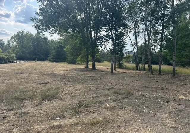 6th image of 1002 Channel Dr, Lake Isabella, MI 48893 | MLS# 70549908
