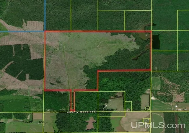 Homes for sale in Mc Millan, MI | 27714 Kline Rd, Mc Millan, MI 49853 | MLS# 50211202
