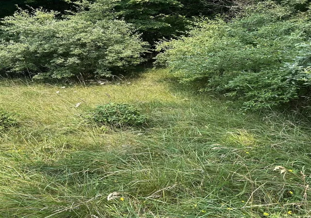 Photo 1 of Land for sale at Lots 5 6 Longebridge W, Pentwater, MI 49449 | MLS# 70548300 | Listing updated on 2026-07-28