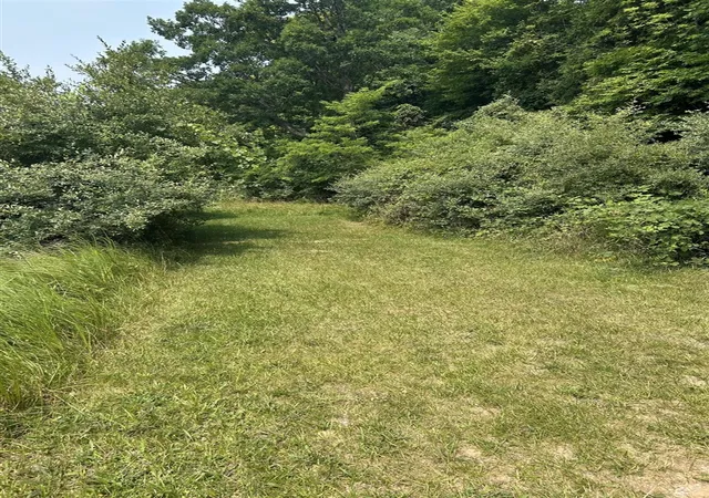 Photo 3 of Land for sale at Lots 5 6 Longebridge W, Pentwater, MI 49449 | MLS# 70548300 | Listing updated on 2026-07-28